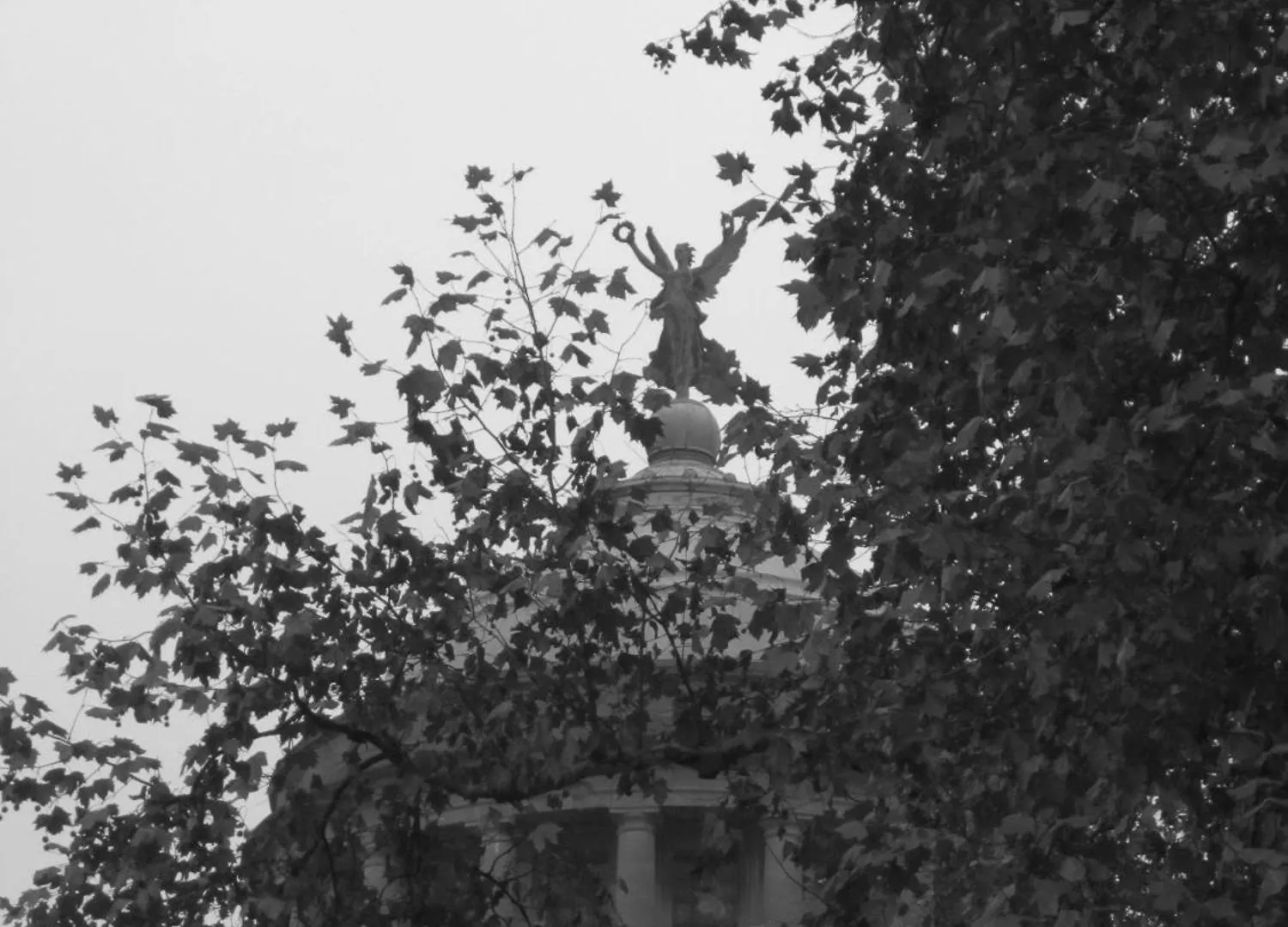 Frühstückspension B&B A Cote Du Cinquantenaire Brüssel